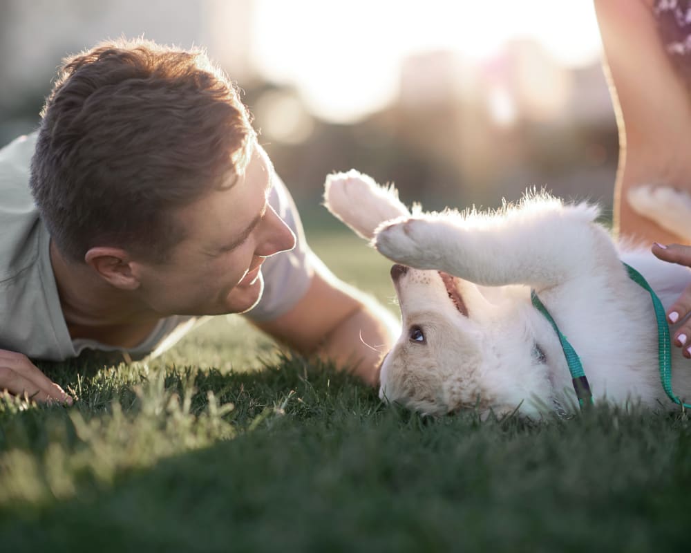 Puppy & Kitten Veterinary Care, Milton